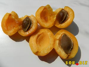Абрикосовые косточки и абрикосы