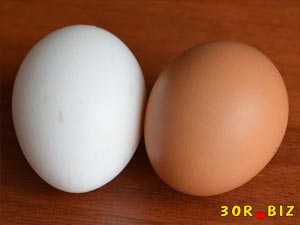 Куриные яйца. Как определить свежесть яиц?