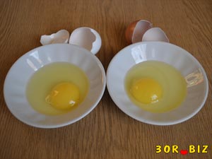 Желток и белок яиц