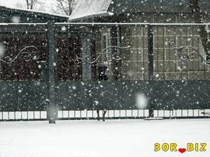 Снегопад, дом, забор и собака за забором