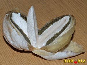 Спелый гриб весёлка в разрезе