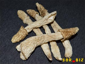 Сухие грибы весёлки