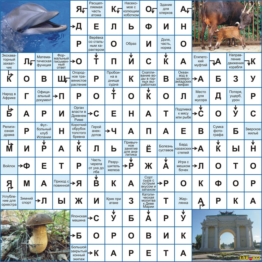 Ответы на онлайн сканворд 15x15 р 42 Дельфин